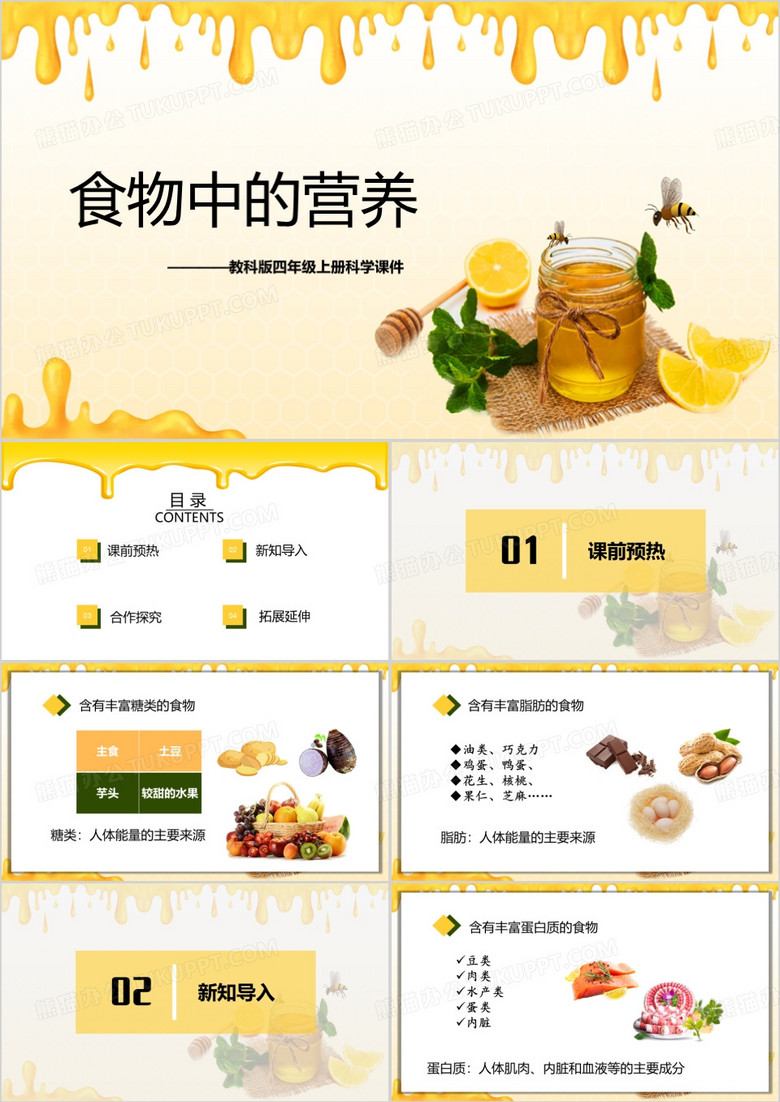 简约风食物中的营养说课PPT模板