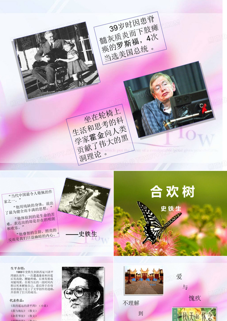 合欢树  史铁生