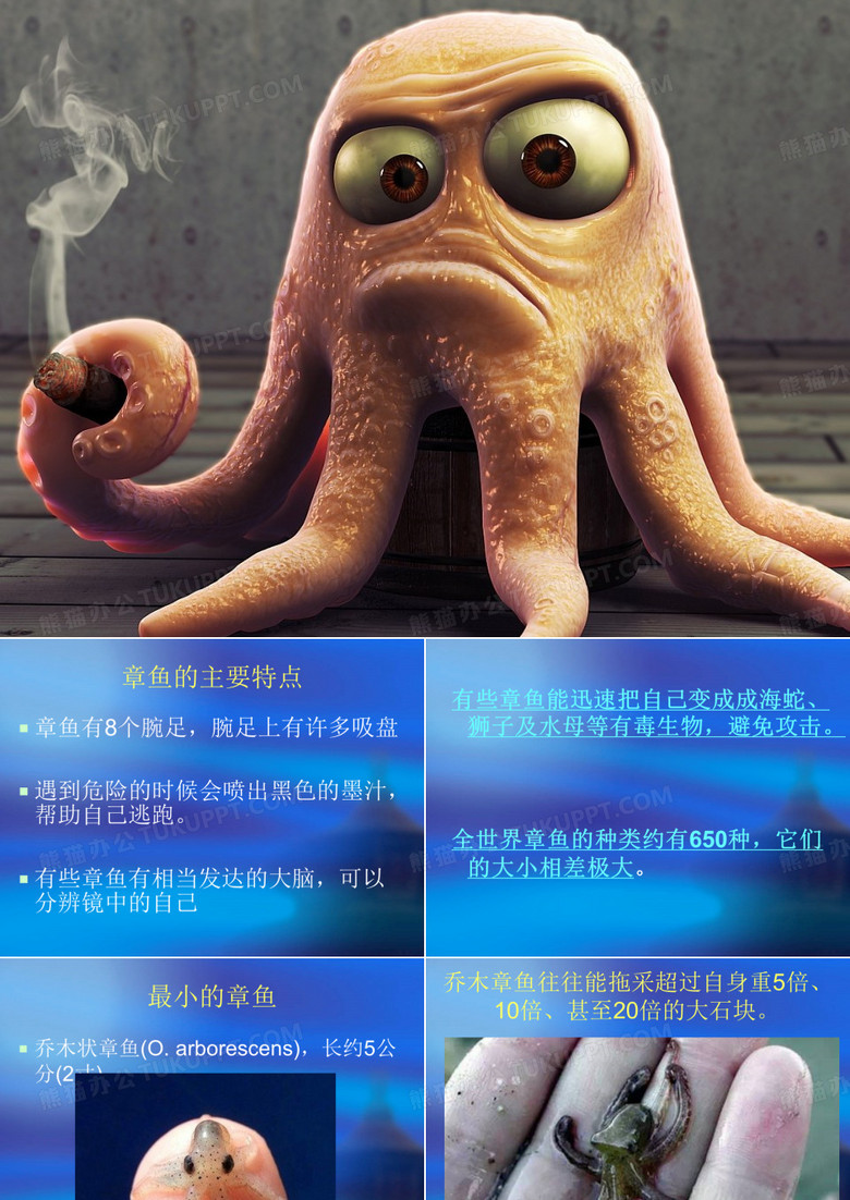 可爱的章鱼