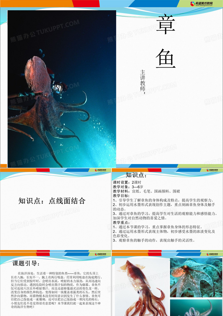 神奇的章鱼