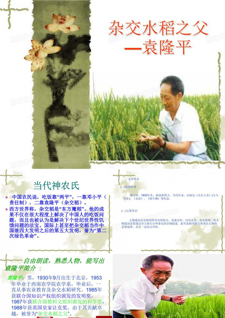 《杂交水稻之父-袁隆平》