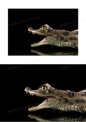 素材930卡通人物大口吃饭00唯美精美618购物大趴一口价提10张着血盆大