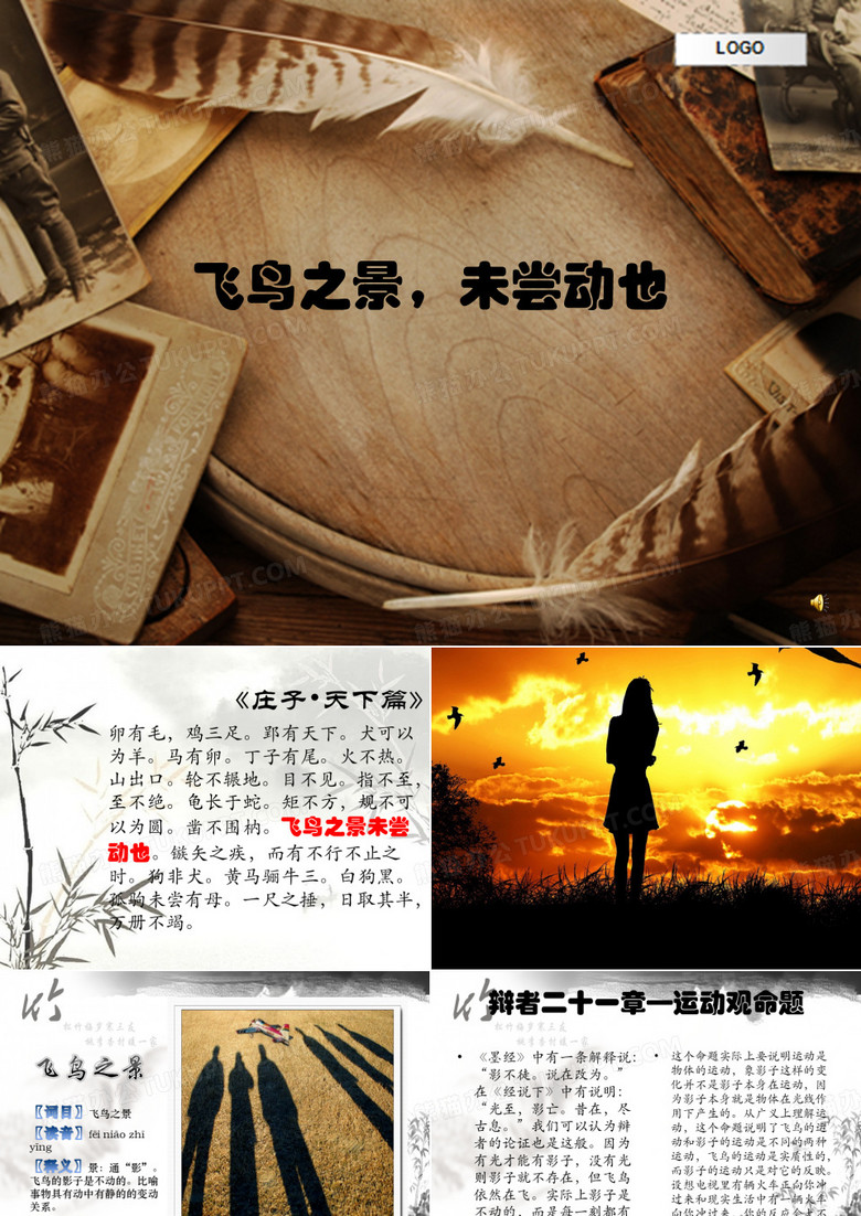 飞鸟之景,未尝动也