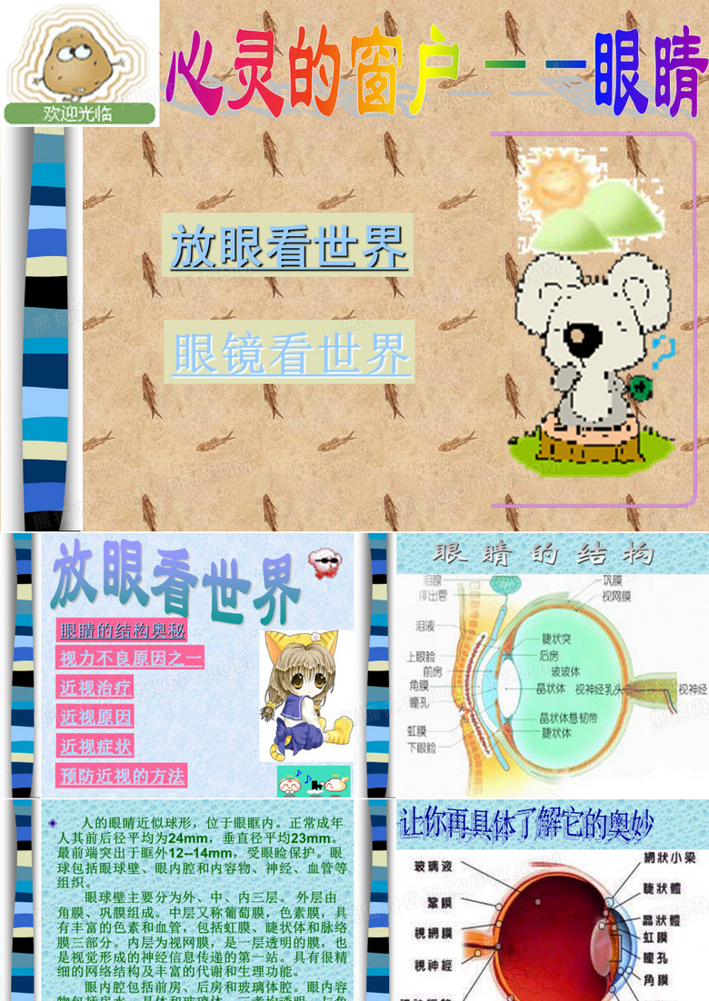 心灵的窗户眼睛