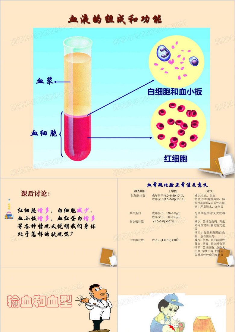 血液和血型 输血与血型