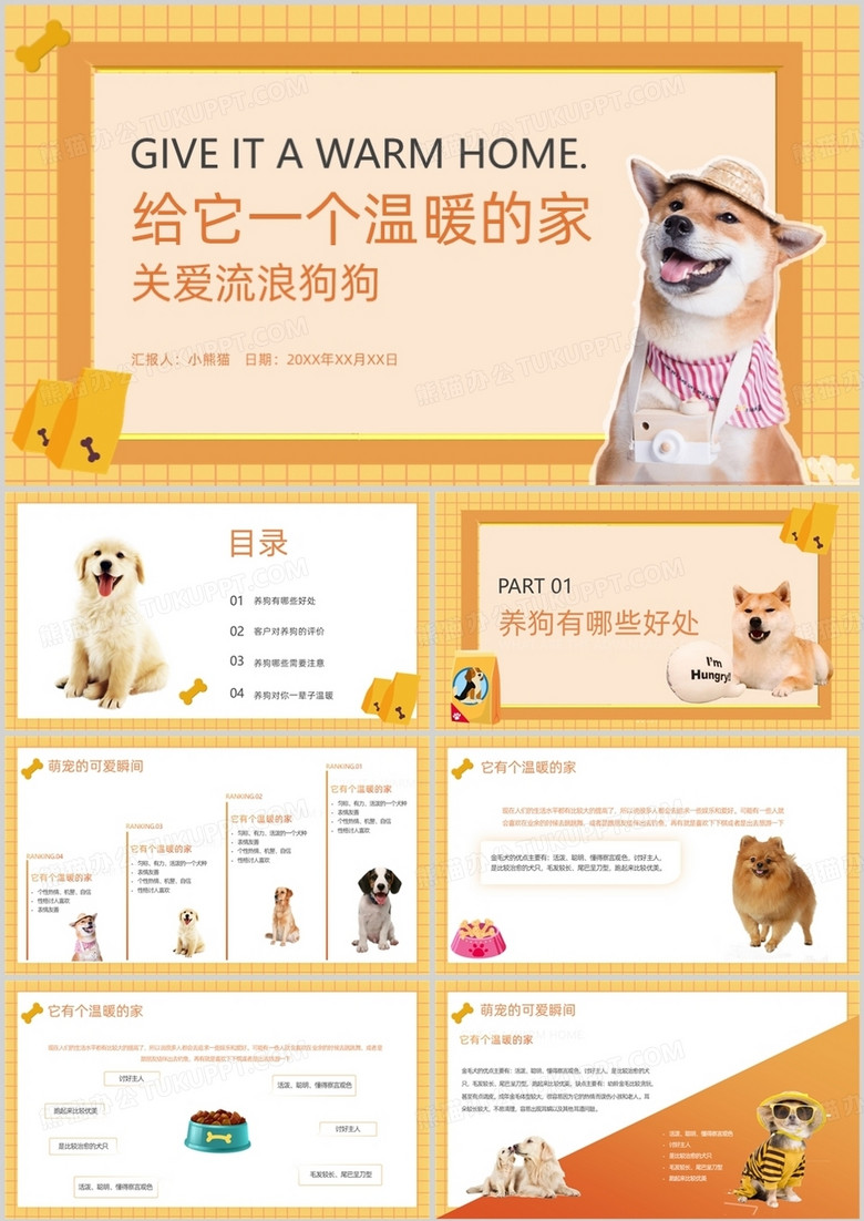 简约流浪狗介绍给宠物一个家PPT模板