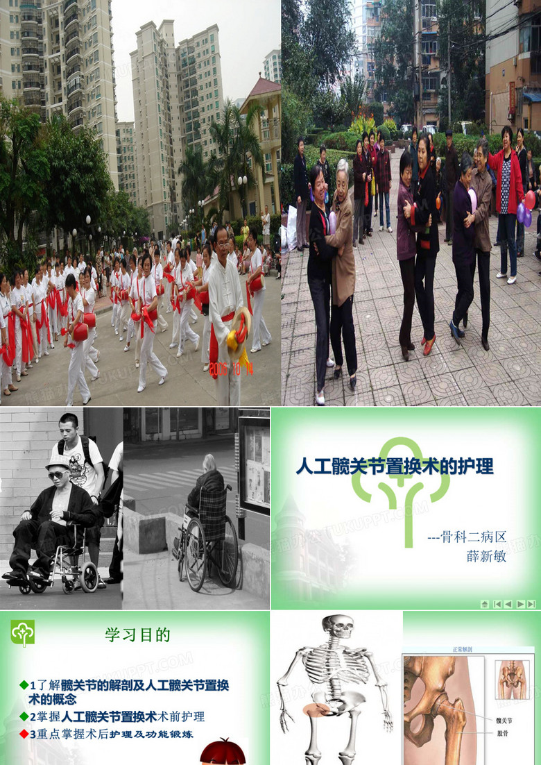 髋关节置换术护理