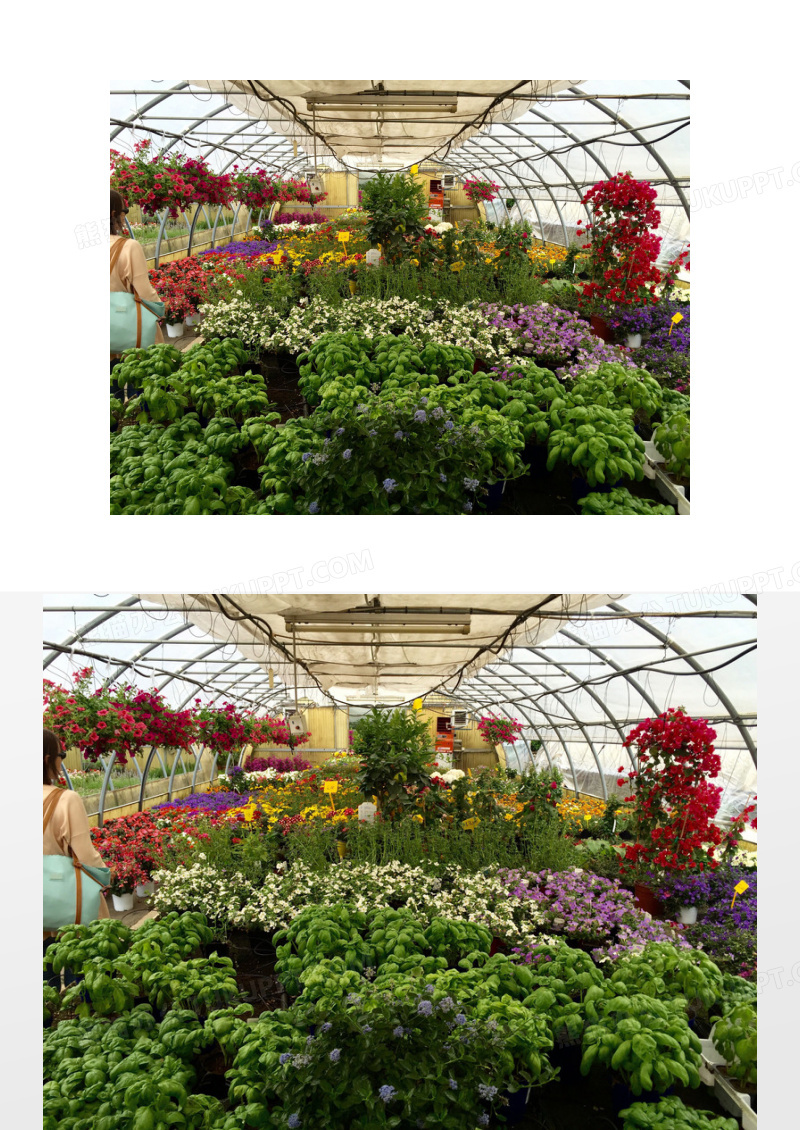 温室大棚素材 温室大棚图片 温室大棚素材图片下载 熊猫办公