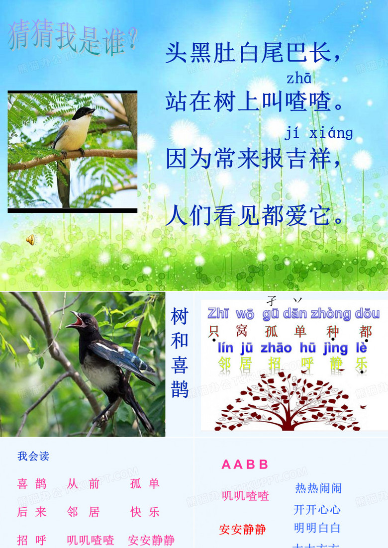 树和喜鹊课件