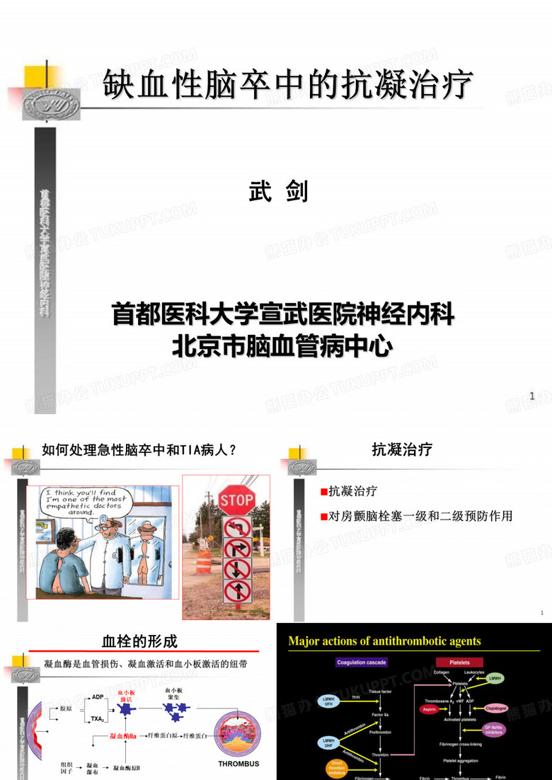 缺血性脑卒中的抗凝治疗