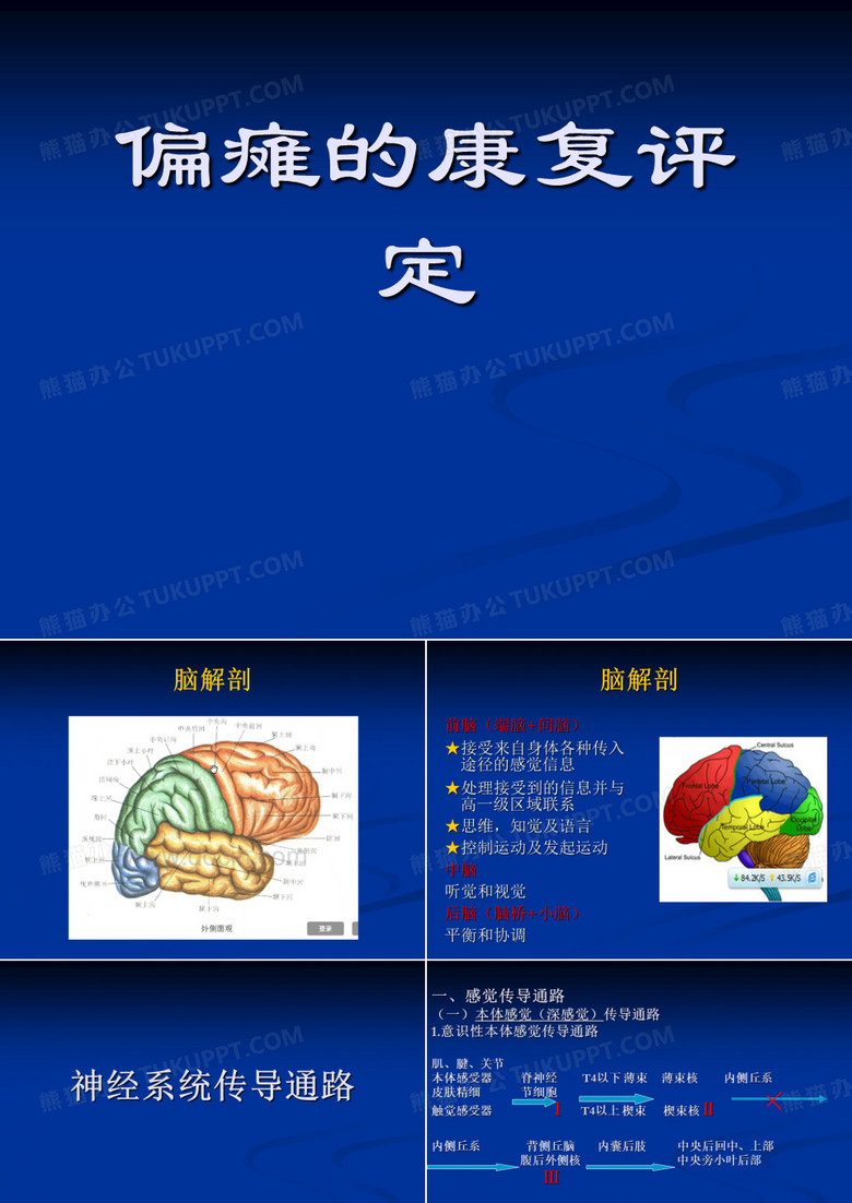 脑卒中偏瘫的康复评定