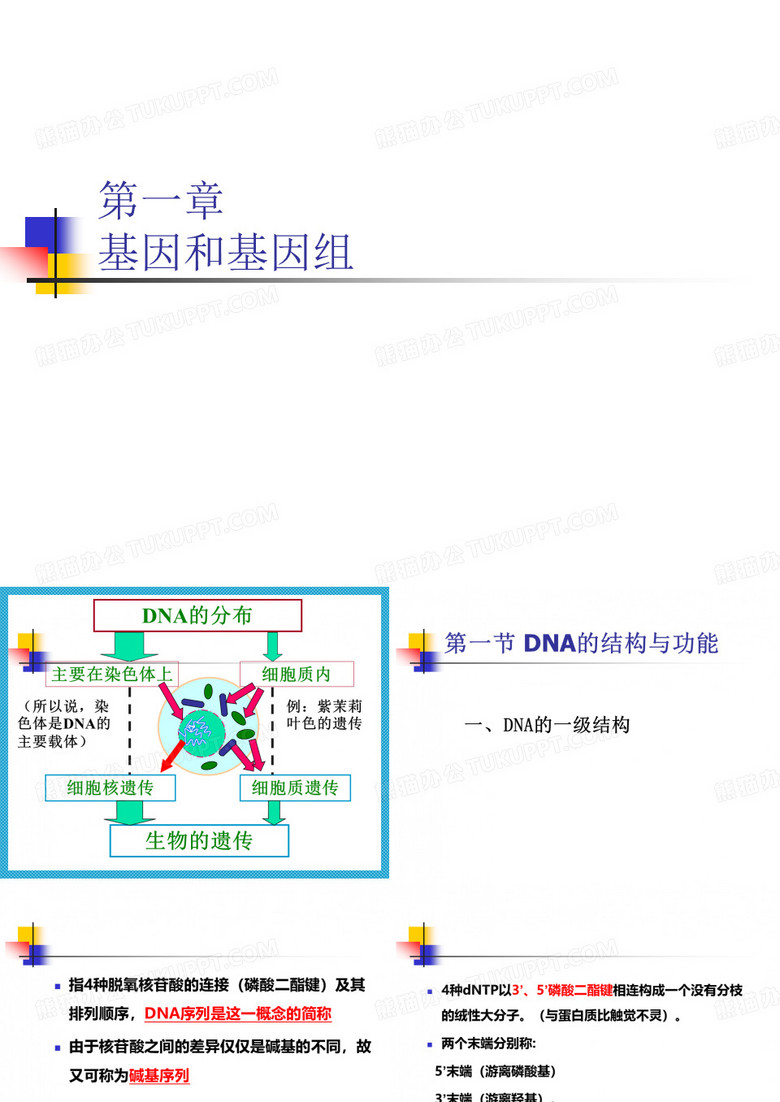 分子生物学