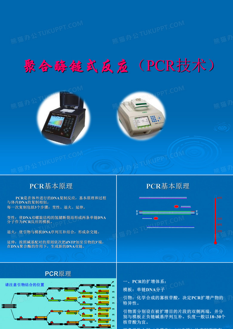 分子生物学