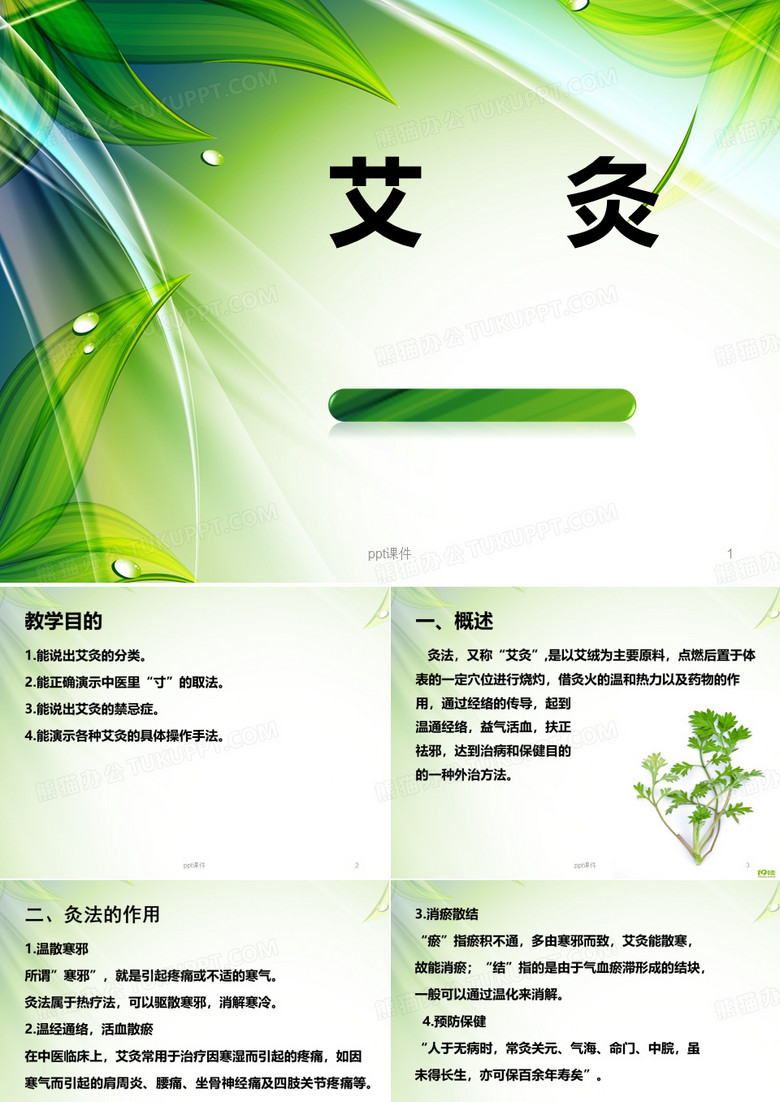 艾灸  ppt课件