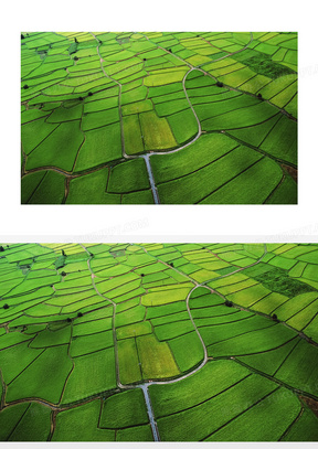 绿色农田图片素材