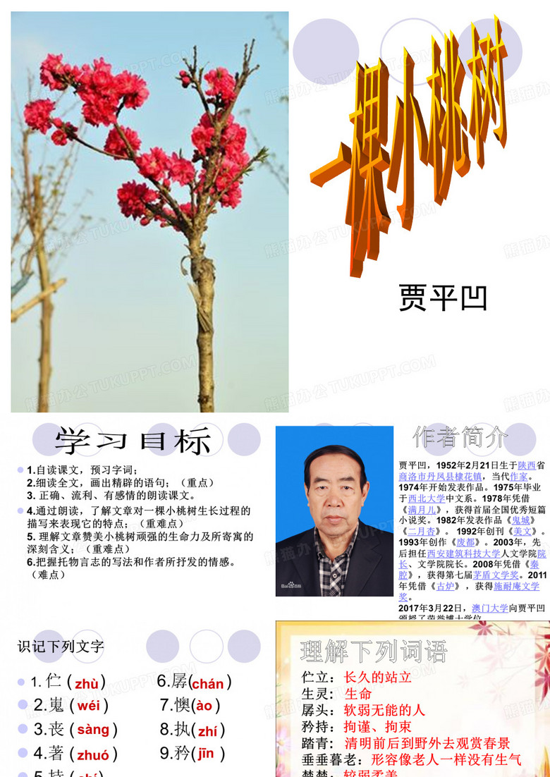 一棵小桃树
