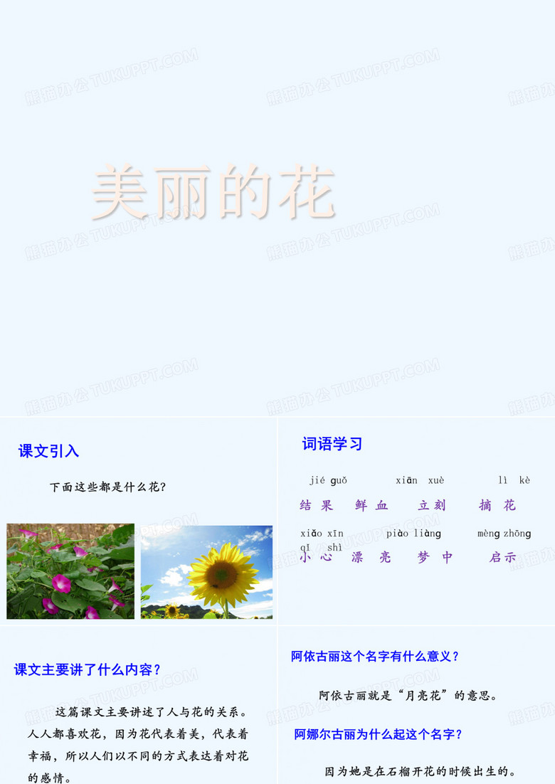 《美丽的花》课件