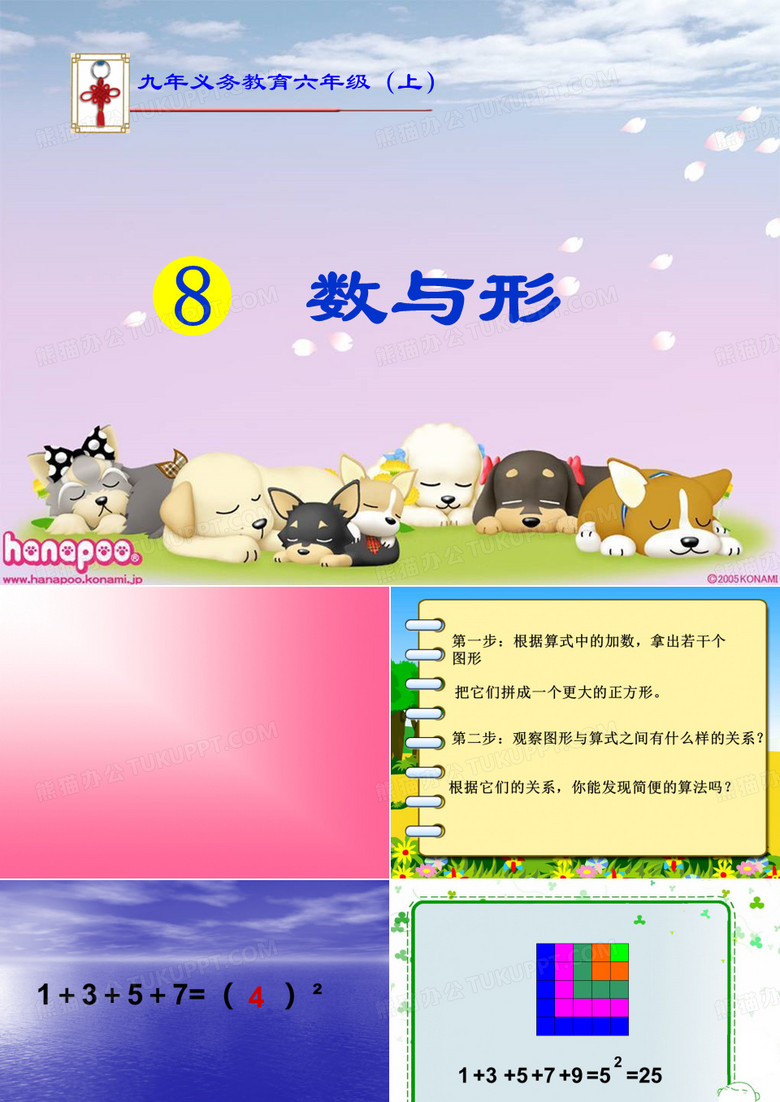 数与形
