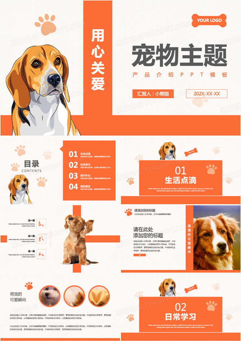 橙色宠物主题产品项目介绍PPT模板