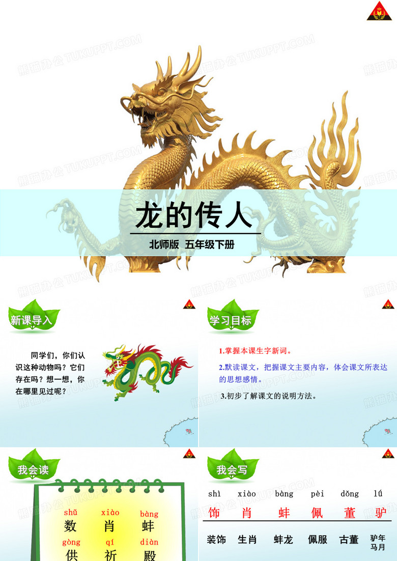 龙的传人