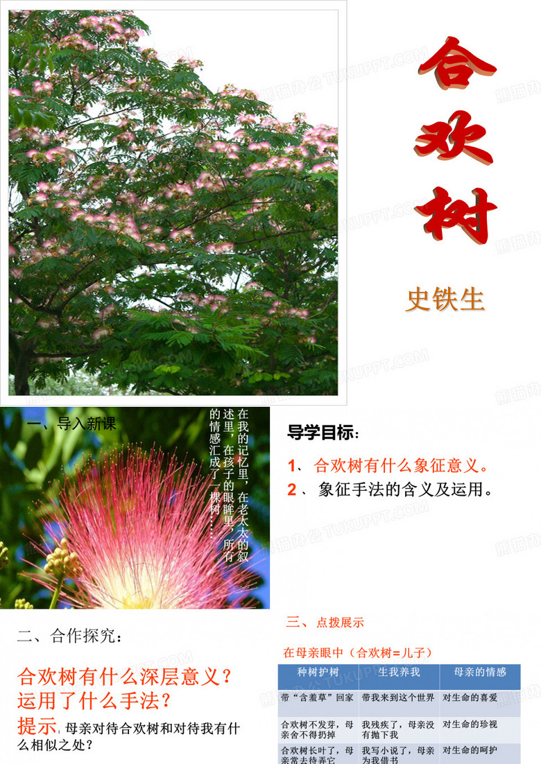 合欢树课件