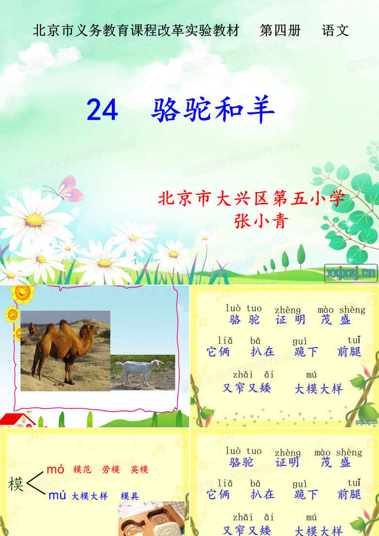 骆驼和羊(第一课时)