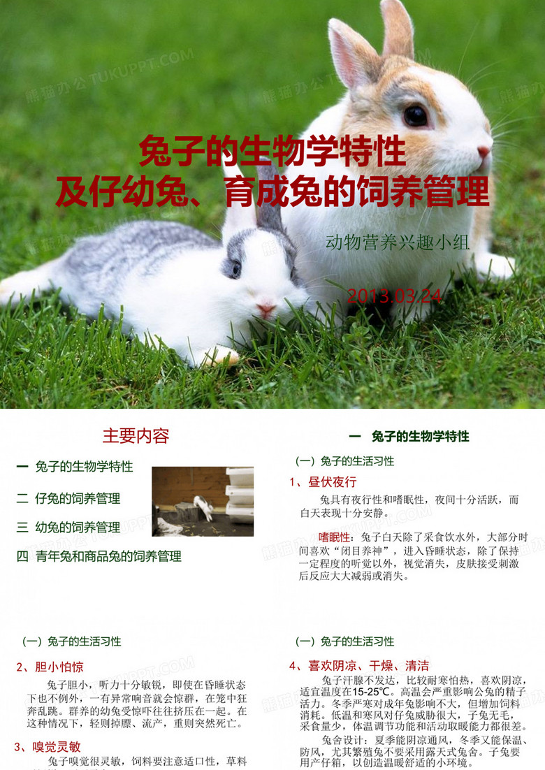 兔子生物学特性及仔幼兔、育成兔的饲养管理