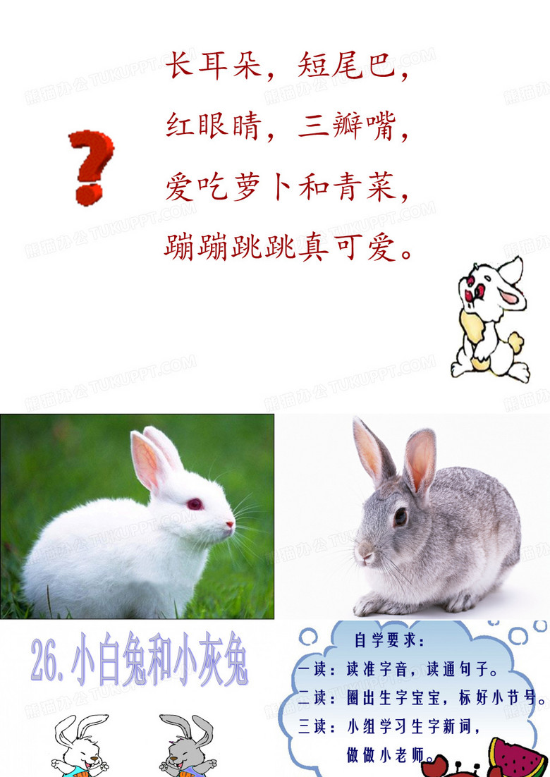 一年级下册《小白兔和小灰兔》PPT