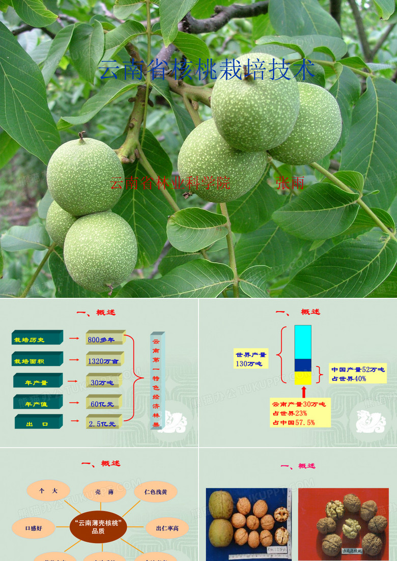 云南核桃的品质特点
