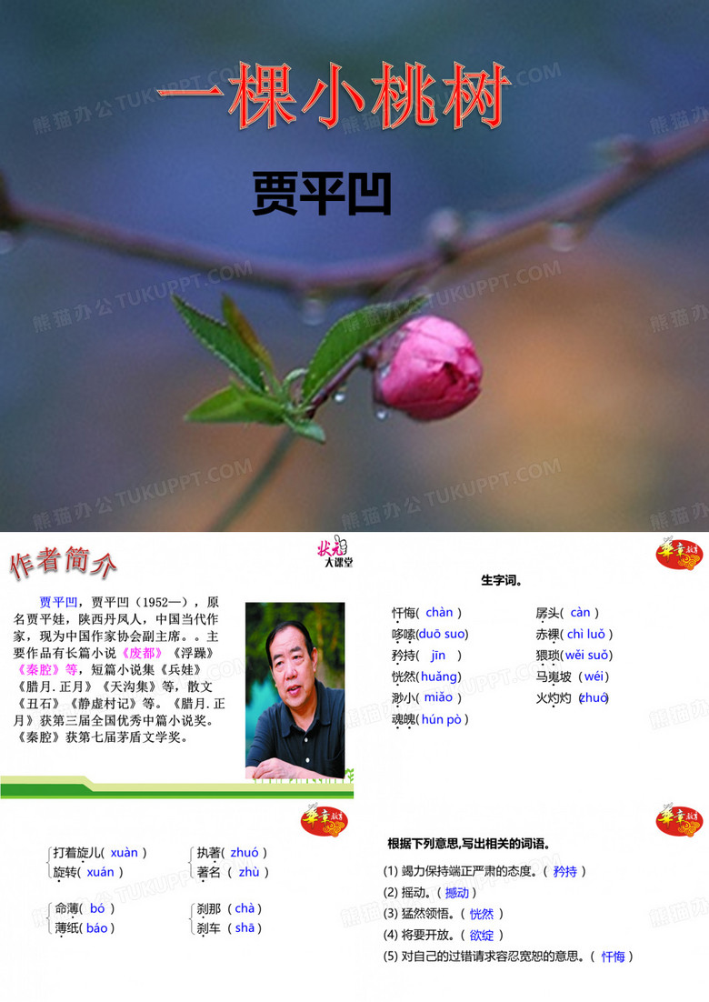一棵小桃树