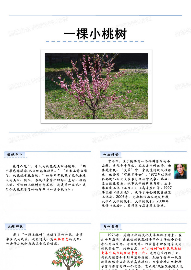 一棵小桃树