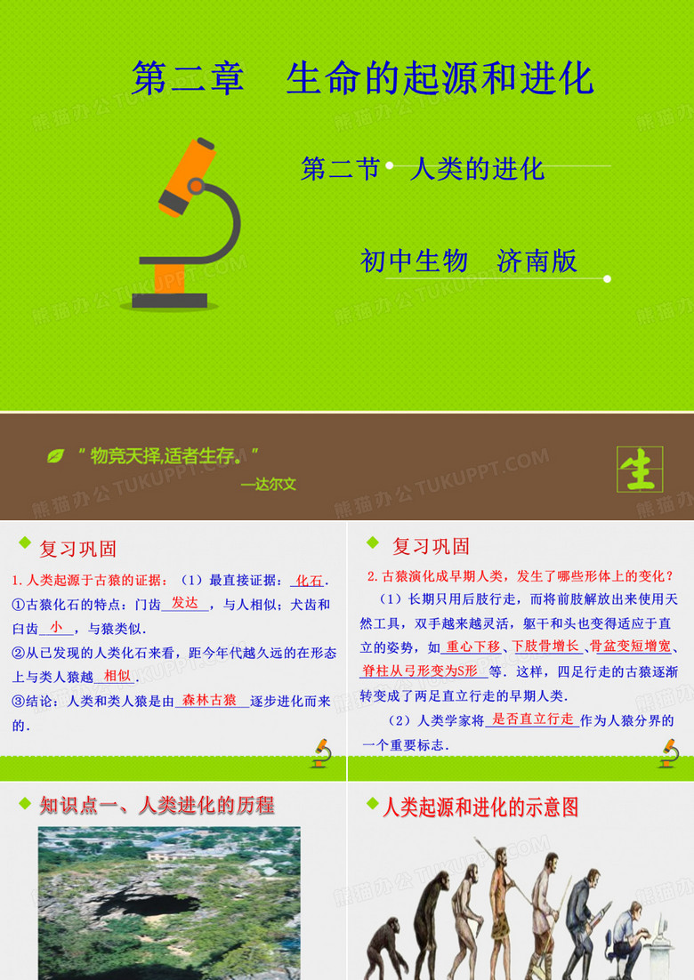 《人类的进化》课件