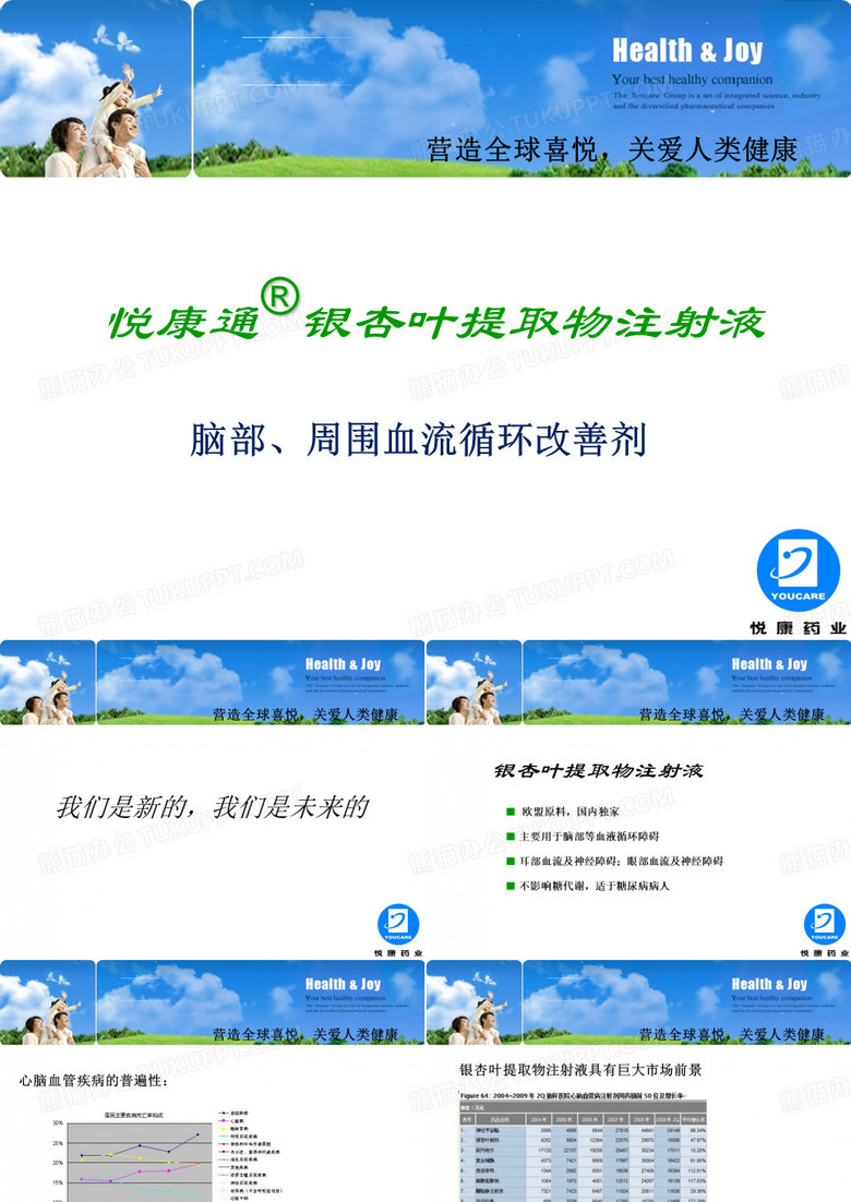 银杏叶提取物注射液 (1)