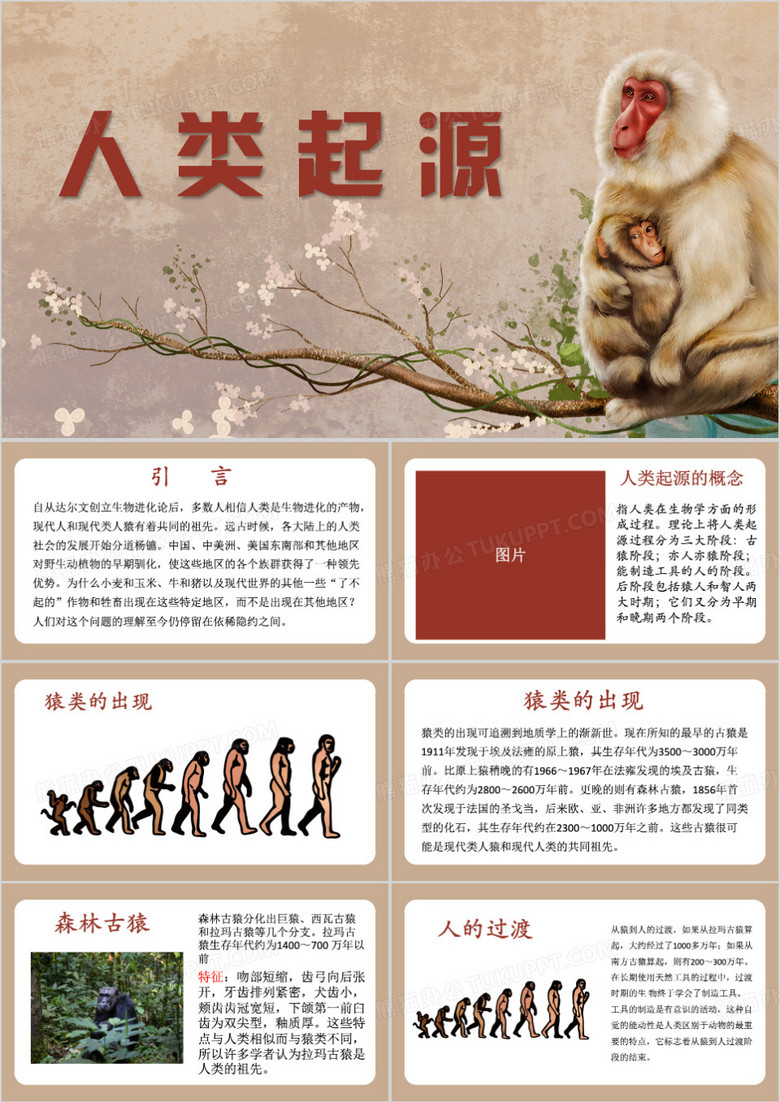 人类起源教育课件PPT模板