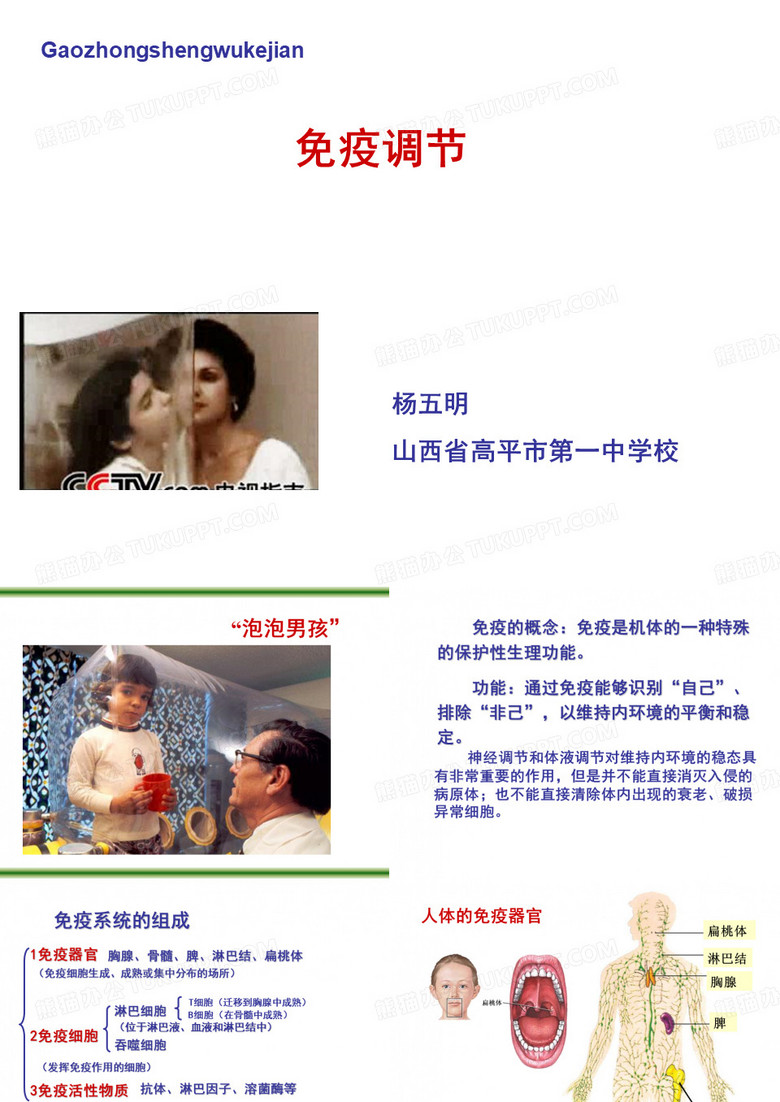 免疫调节