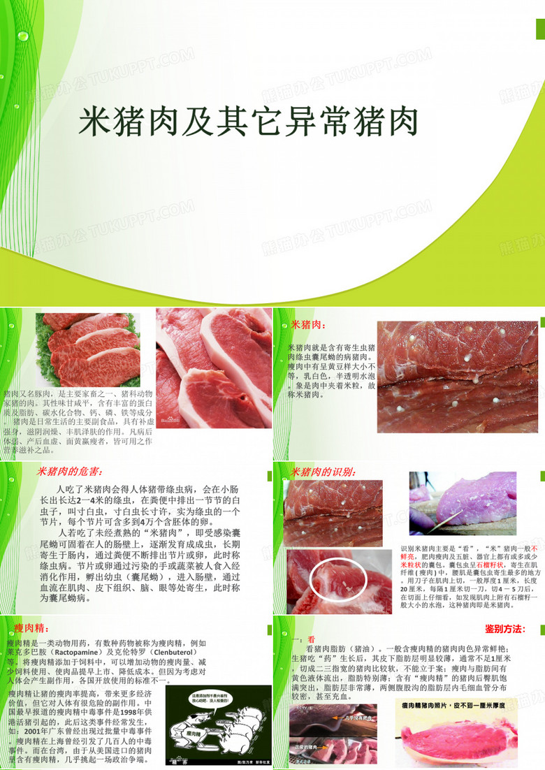 猪肉ppt