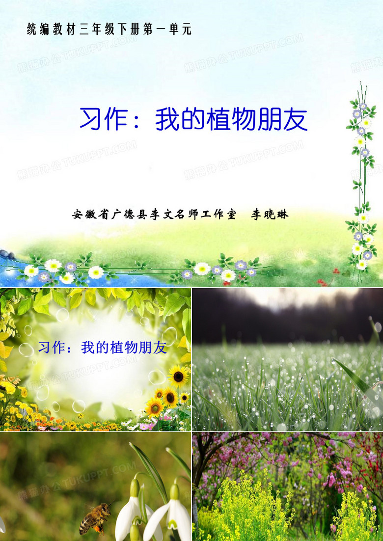 习作：我的植物朋友(第一单元)