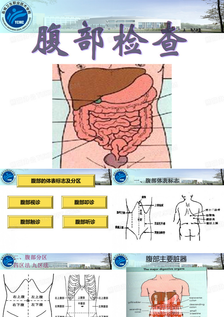 腹部检查