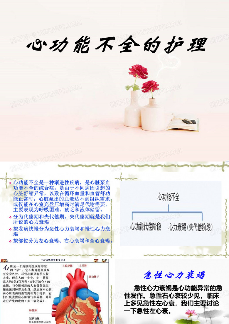 心功能不全的护理
