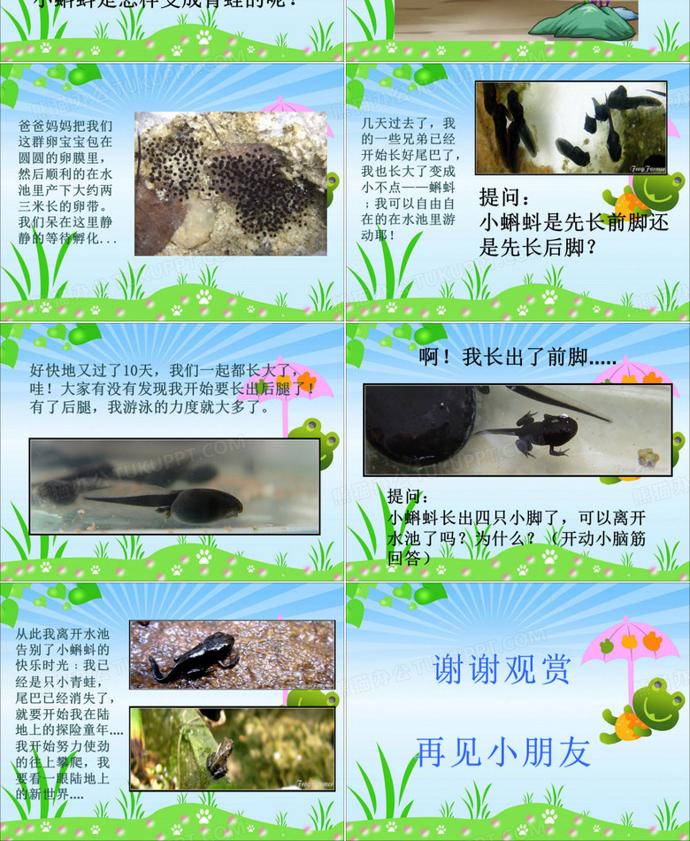 小蝌蚪变青蛙ppt模板下载_编号qrzkpken_熊猫办公