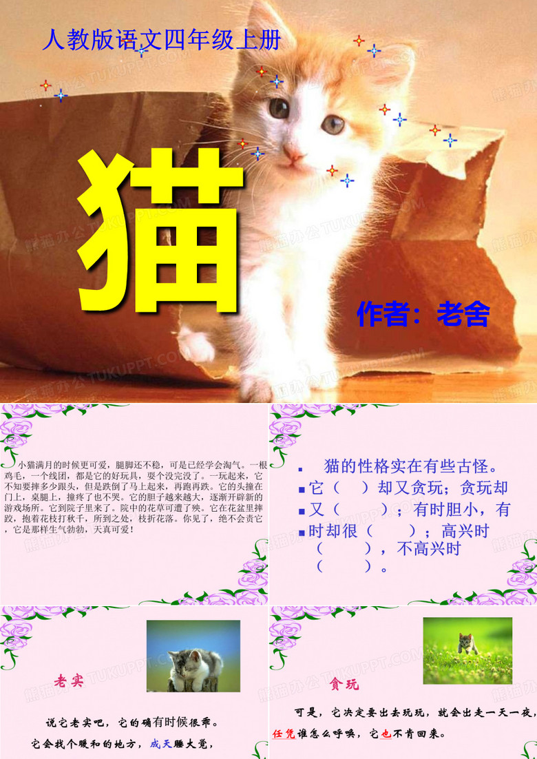 老舍《猫》