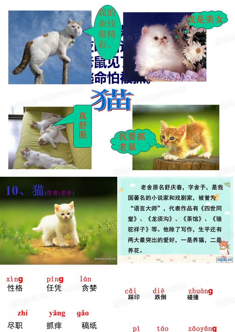 猫_老舍