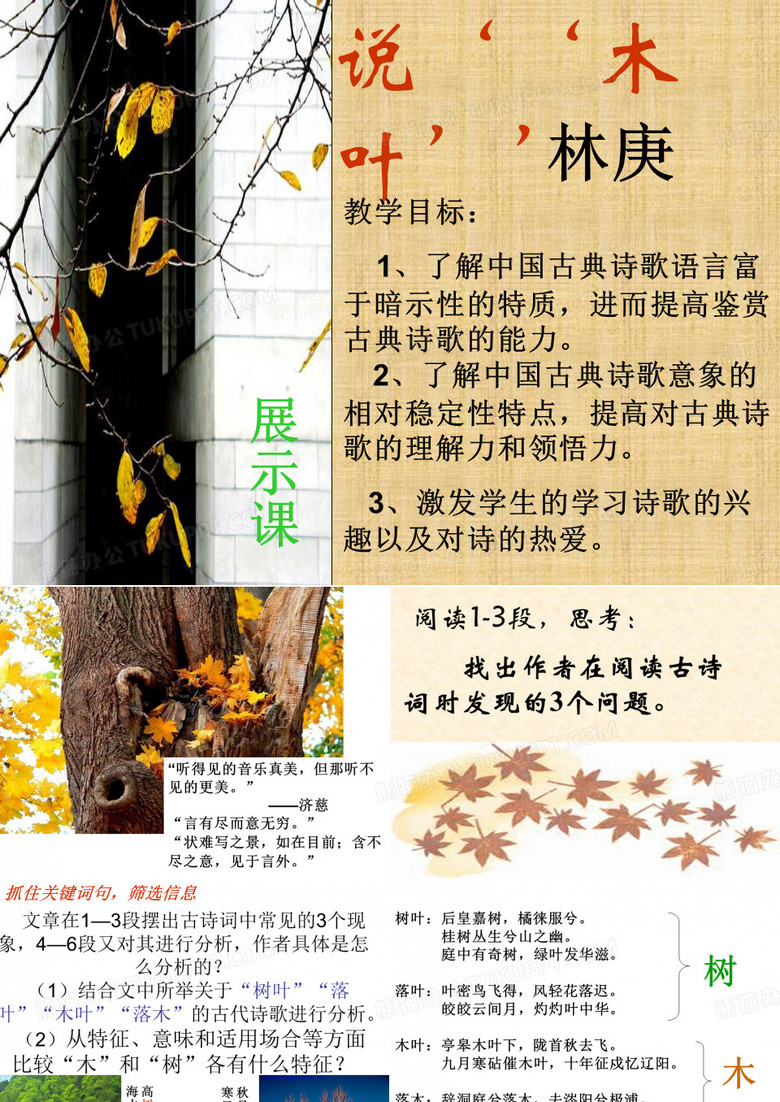 说“木叶”