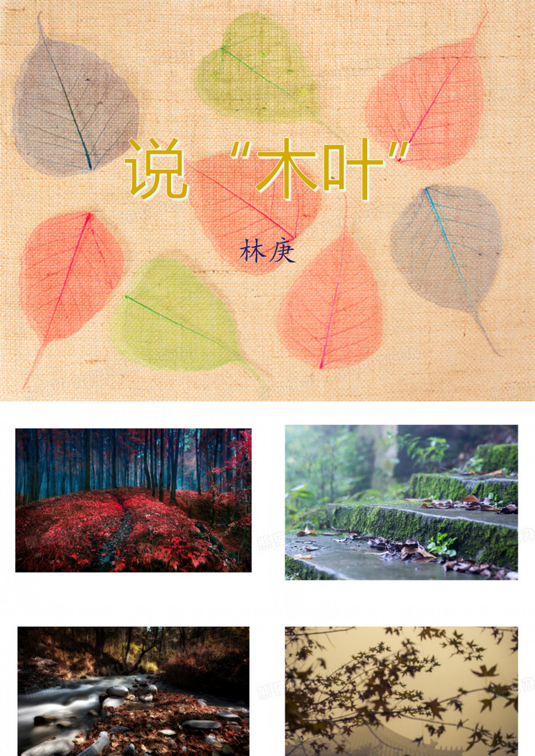 说木叶