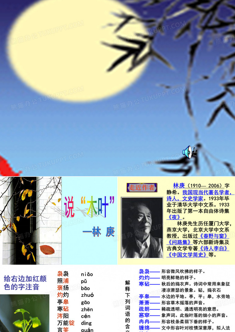 说木叶