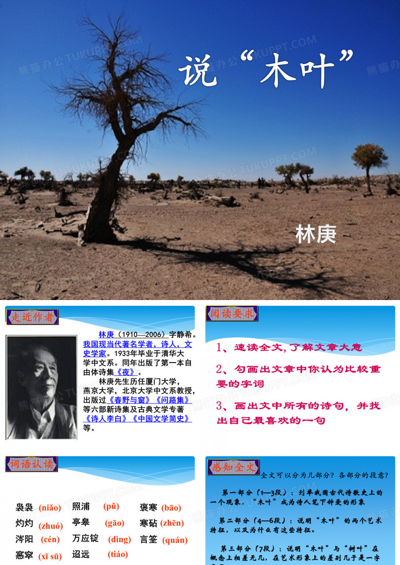 说木叶