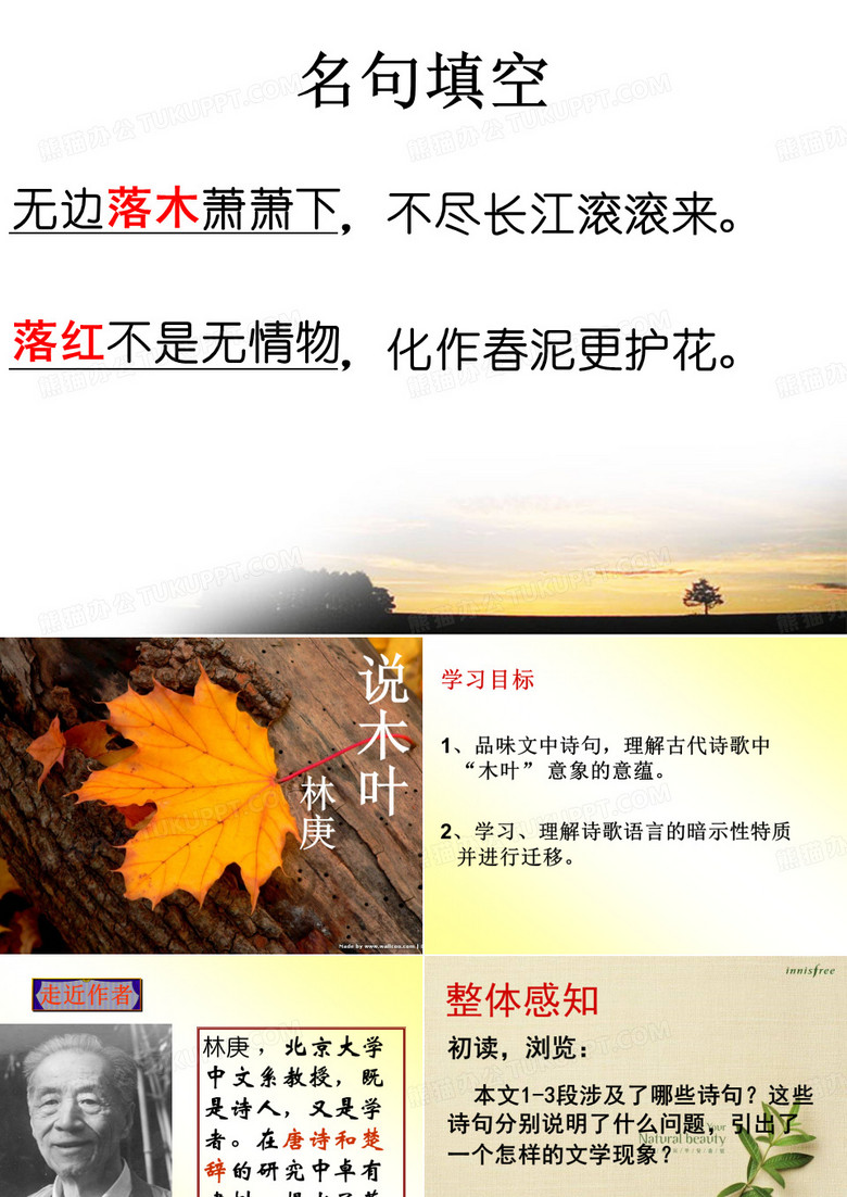 说木叶