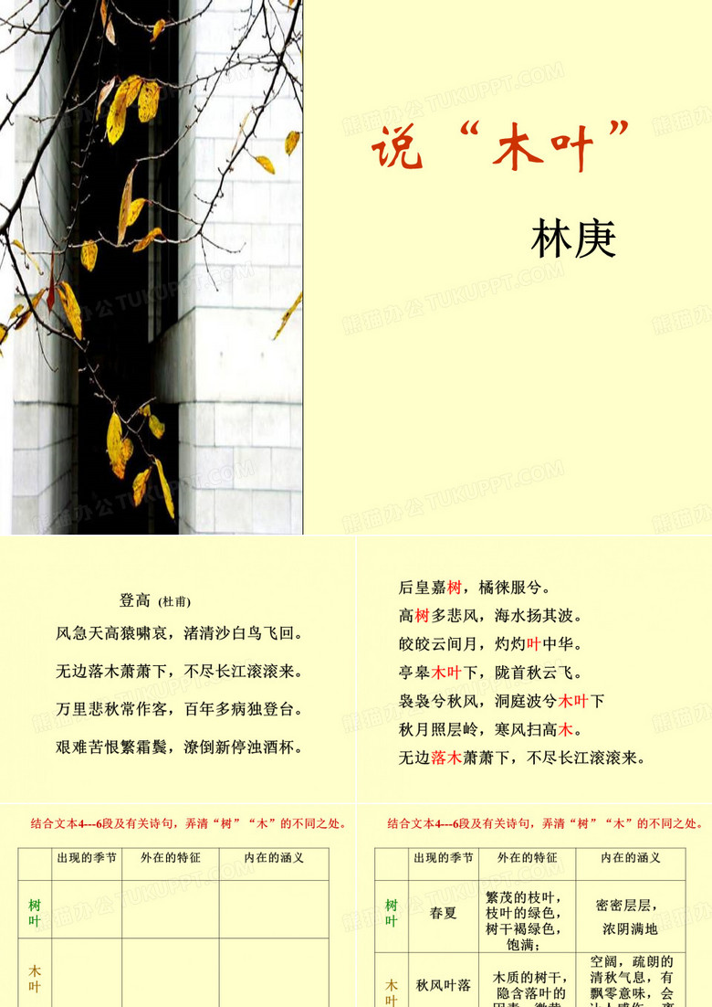 说木叶