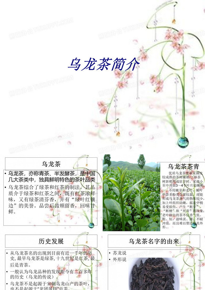 乌龙茶简介课件