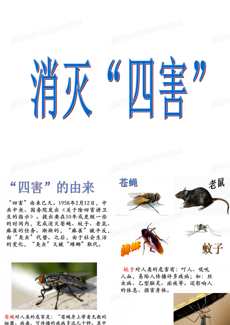 消灭四害